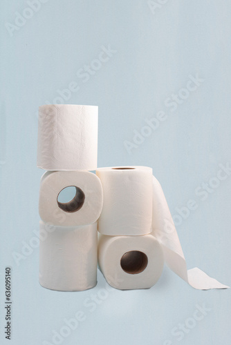 Toilet paper rolls