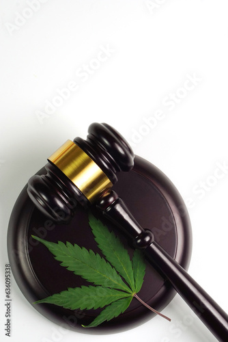 Cannabis leaf or marijuana leaf with judge hammer on white background. Law, judiciary concept.