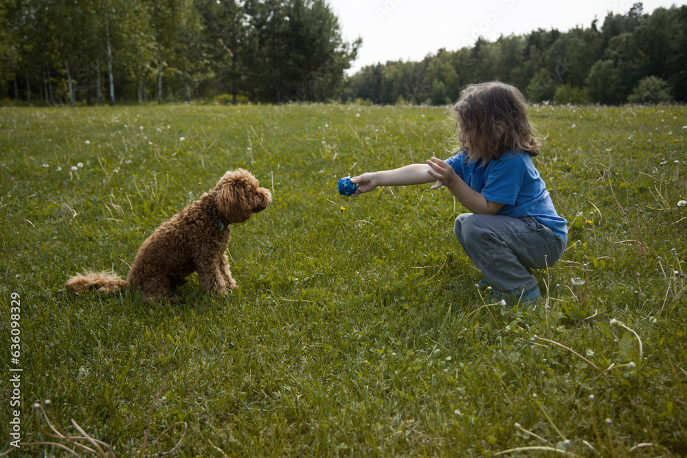 Little boy sitting on a meadow with a dog Little boy sitting on a meadow with a dog