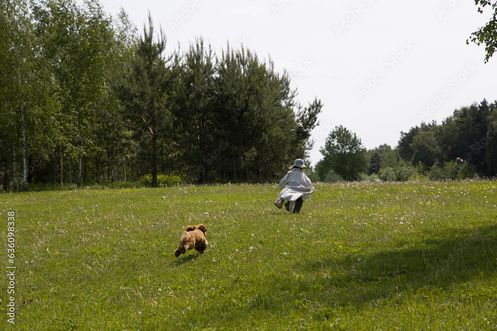 Boy with a puppy playing outdoors Boy with a puppy playing outdoors