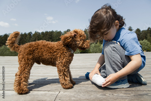 Little boy and poodle puppy in a park