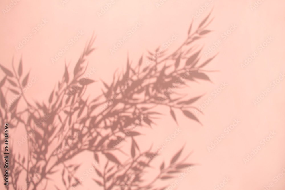 Naklejka premium 식물과 그림자와 카피공간