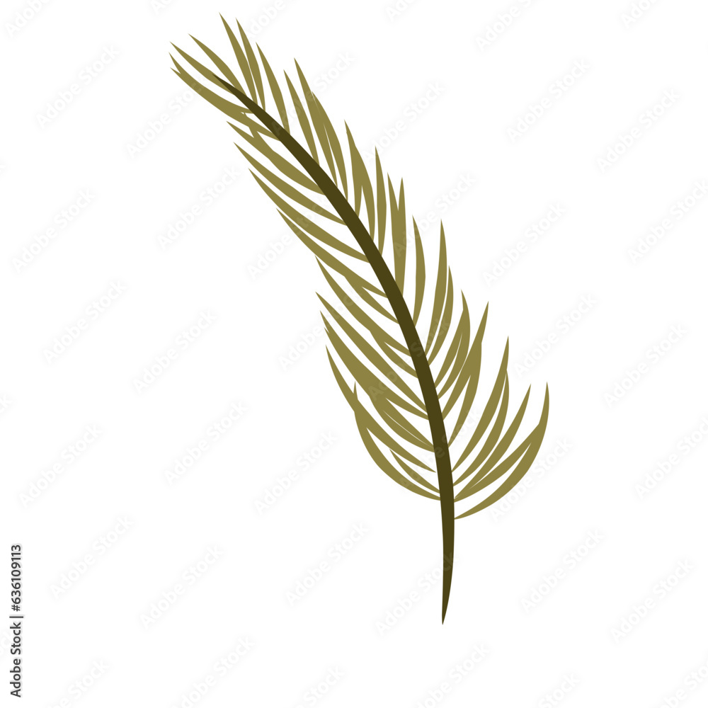 Palm Leaf Palm Leaf