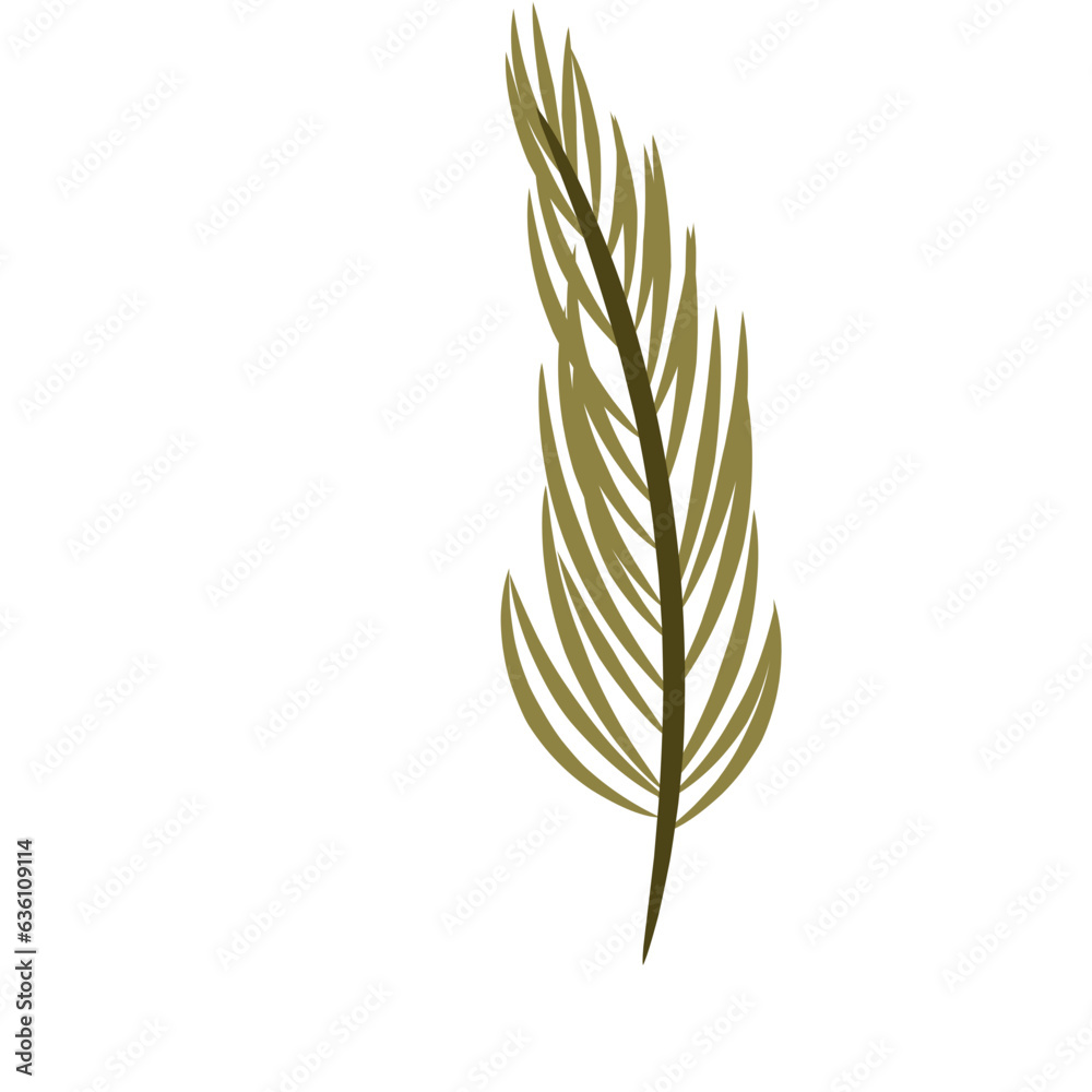 Palm Leaf Palm Leaf