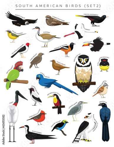 South American Birds Set Cartoon Vector Character 2