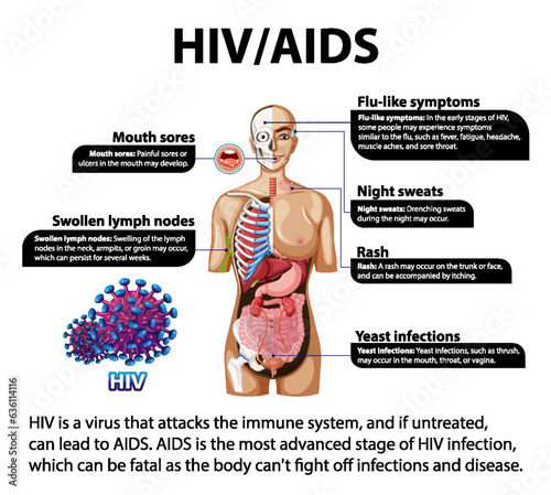 HIV/AIDS Virus: Effects on Human Immune System