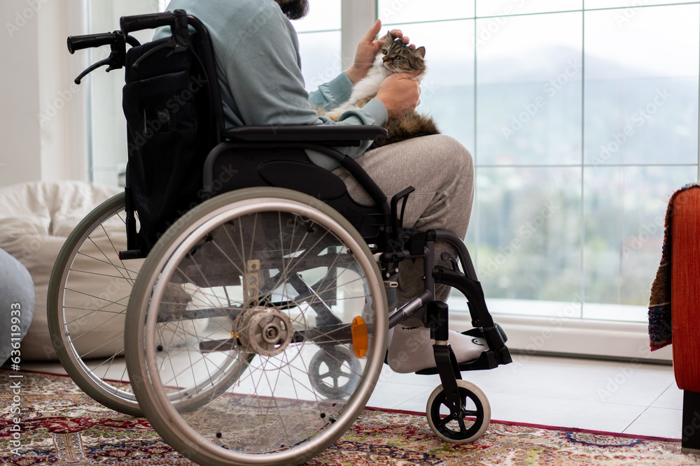 Man in wheelchair playing with cat Man in wheelchair playing with cat