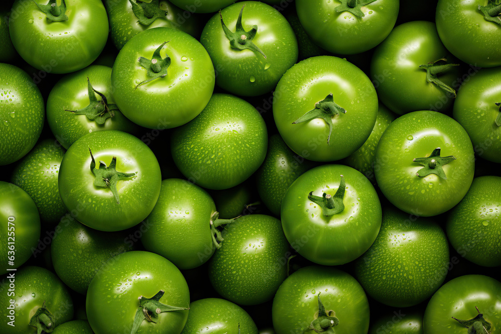 green tomatoes background. Group of tomatoes green tomatoes background. Group of tomatoes