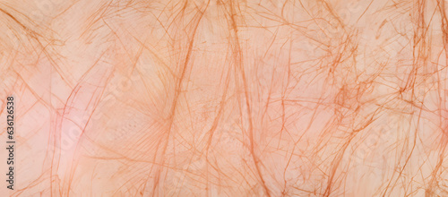 Wrinkled texture of human skin