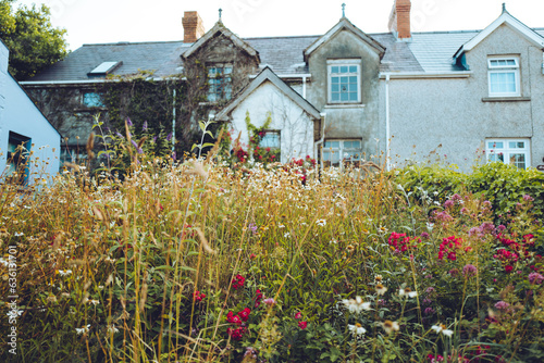 A derelict house being reclaimed by nature