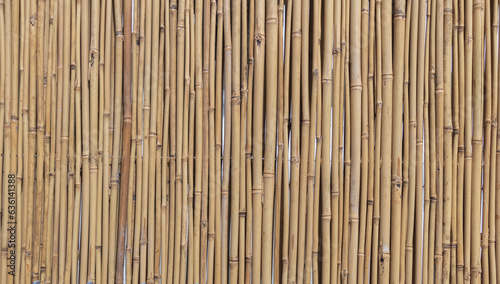 Bamboo fence background texture close up. Bamboo wall pattern
