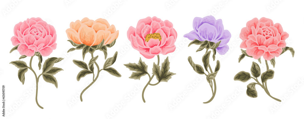 Colorful hand drawn wildflower, rose, peony flower, and leaf branch vector clip art illustration collection	