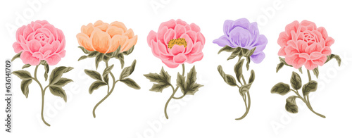 Colorful hand drawn wildflower, rose, peony flower, and leaf branch vector clip art illustration collection	