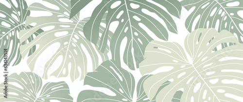 Abstract foliage botanical background vector. Green and white color wallpaper of tropical plants, monstera, leaf branches, leaves. Foliage design for banner, prints, decor, wall art, decoration.