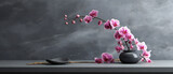 Blooming pink orchid against a dark wall. Simple elegant floral arrangement.