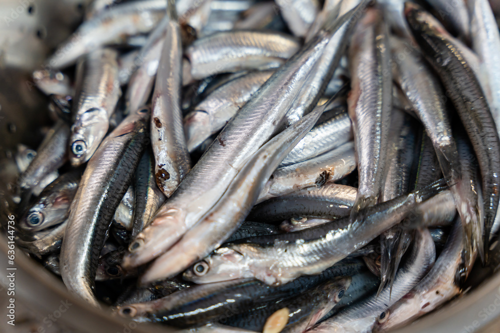 fresh caught from the market. fresh fishing fresh caught from the market. fresh fishing