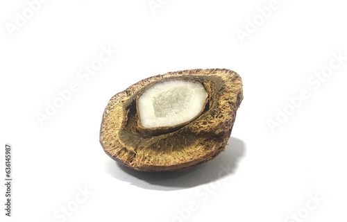 slice of palm doum tropic isolated on white background 