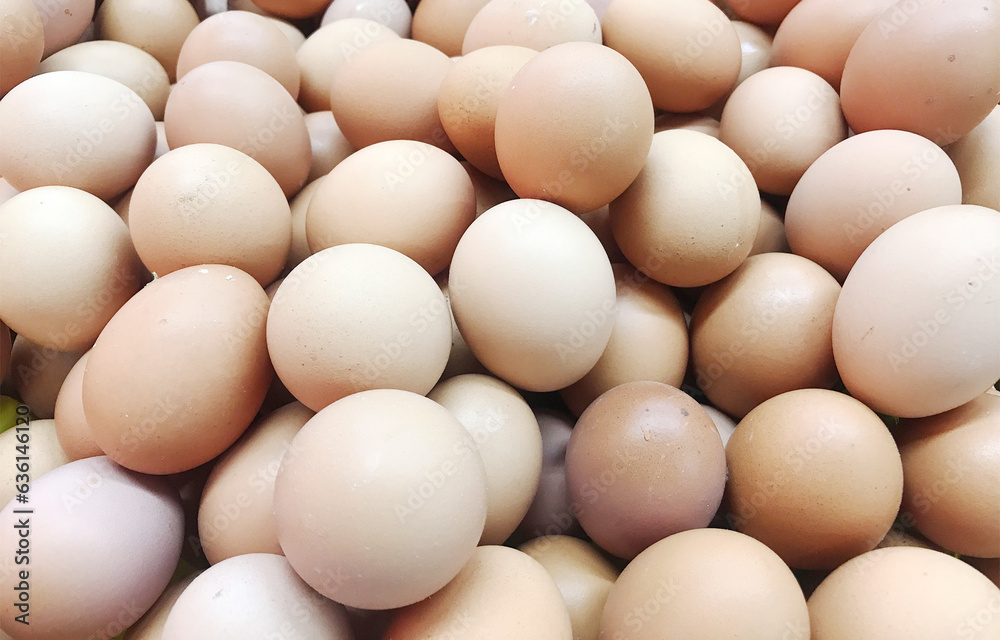 pack of chicken egg in groceries store