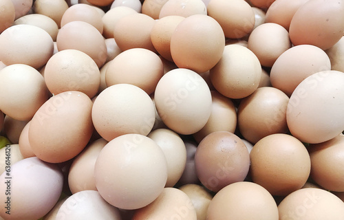 pack of chicken egg in groceries store