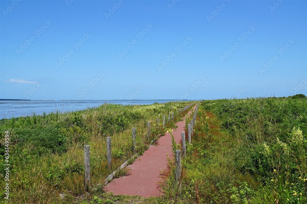 Path in  Cape Kimuaneppu