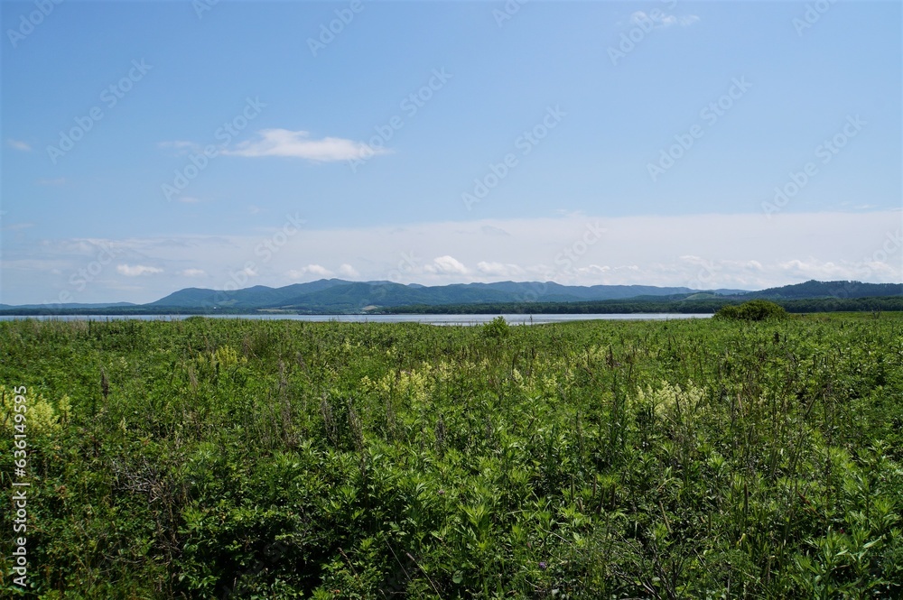 Landscape of Cape Kimuaneppu