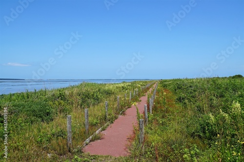 Path in  Cape Kimuaneppu © yoshi