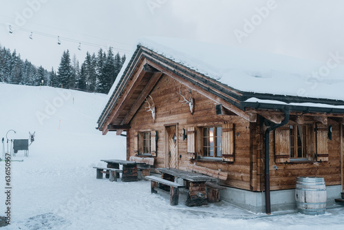 Wooden Cabin Covered in Snow photo