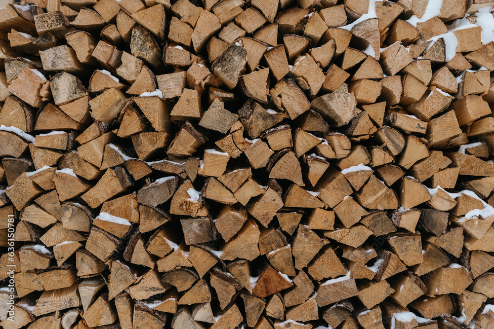 Wooden Logs in the Snow