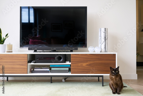 TV unit on cabinet with cat photo