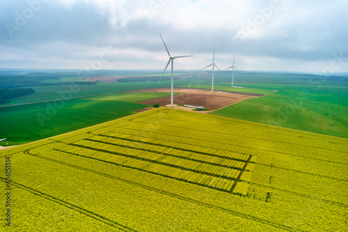 Wind farm & canola crop for biofuel energy Sustainable Aviation Fuels photo