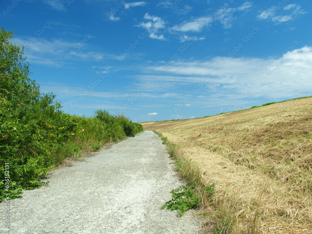 Obraz premium 晩夏の除草された江戸川土手と河川敷の砂利道風景