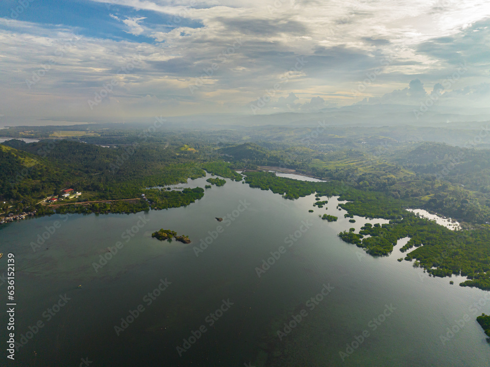 custom made wallpaper toronto digitalTropical landscape with mangrove forest and blue sea. Zamboanga. Mindanao, Philippines.