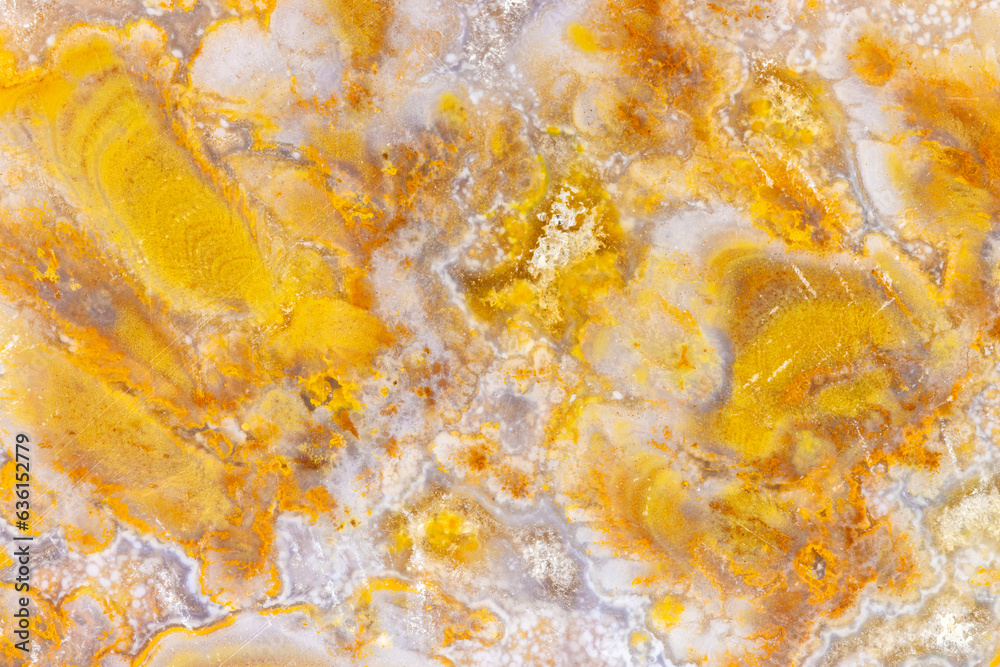 Golden Agate Closeup Macro Golden Agate Closeup Macro