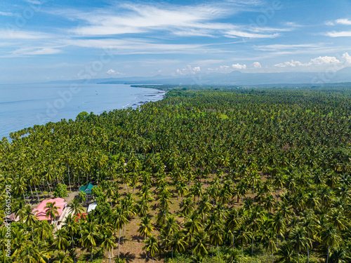 Coconut palm trees in coastline of Tropical Island. Mindanao, Philippines.