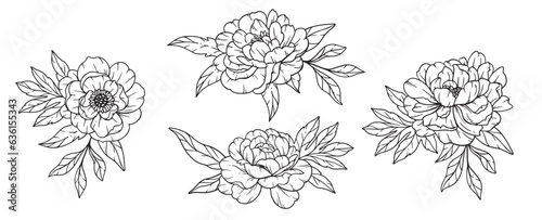 Peony  Line Art, Fine Line Peony Bouquets Hand Drawn Illustration. Coloring Page with Peony Flowers. 