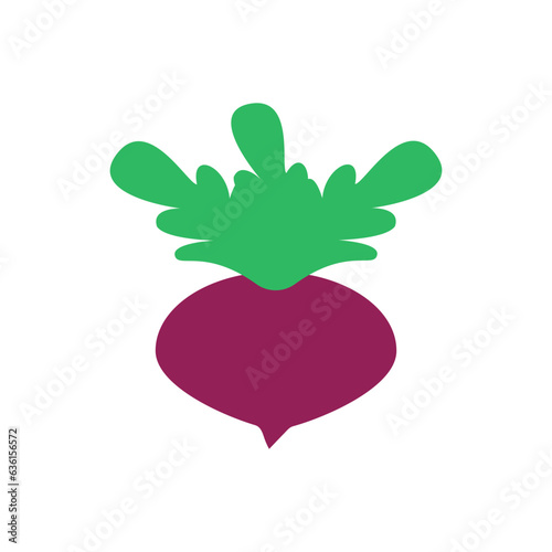 Red big beet with large green leaves. Colored vector in minimal simple flat style. 