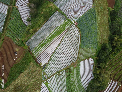 The beauty of the landscape and architecture of the arrangement of terraced houses in the tourist area of ​​Nepal van Java, Butuh Hamlet, Temanggung Village, Kaliangkrik District, Magelang, Central Ja photo