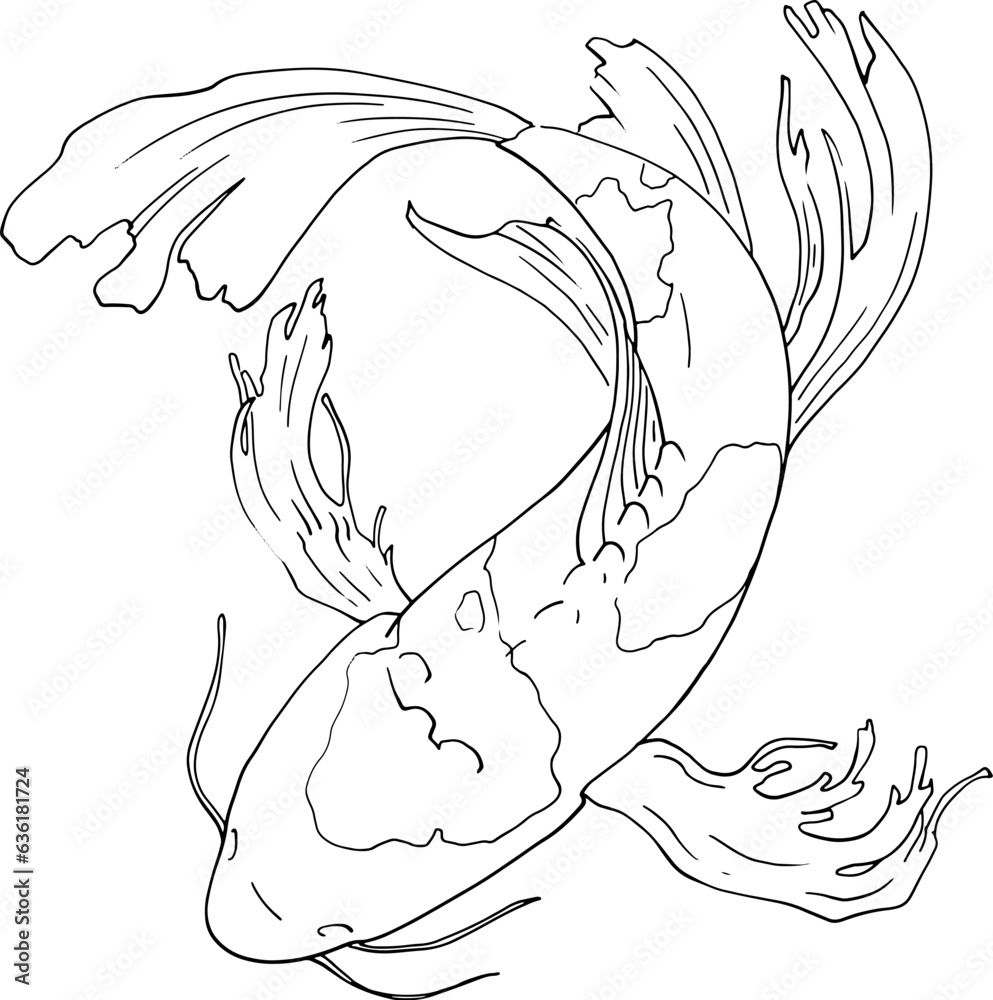 Obraz premium Japanese carp fish. Linear illustration, top view. Freehand drawing detailing the tail and fins. Vector image for quality printing. Japanese carp swims in the water. From the ZODIAC collection. Vector