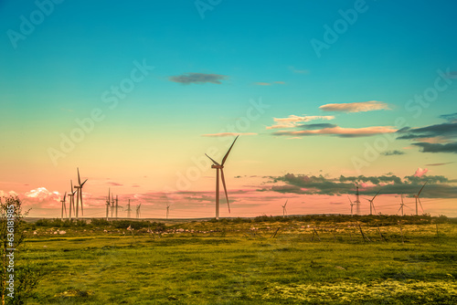 Wind generators in the north. Tundra in summer. photo