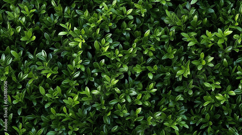 background and texture of the wall of natural green small leaves. eco wallpaper