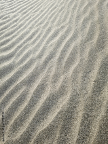 Wuhan Yangtze River Beach Beach Landscape