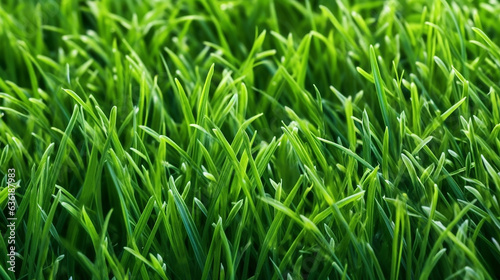 closeup of green grass for background