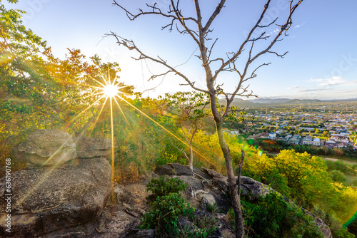 panoramic background of high mountain scenery, overlooking the atmosphere of the sea, trees and wind blowing in a cool blur, spontaneous beauty photo