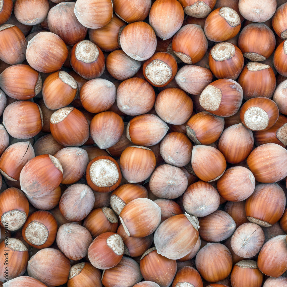 Hazelnuts Hazelnuts