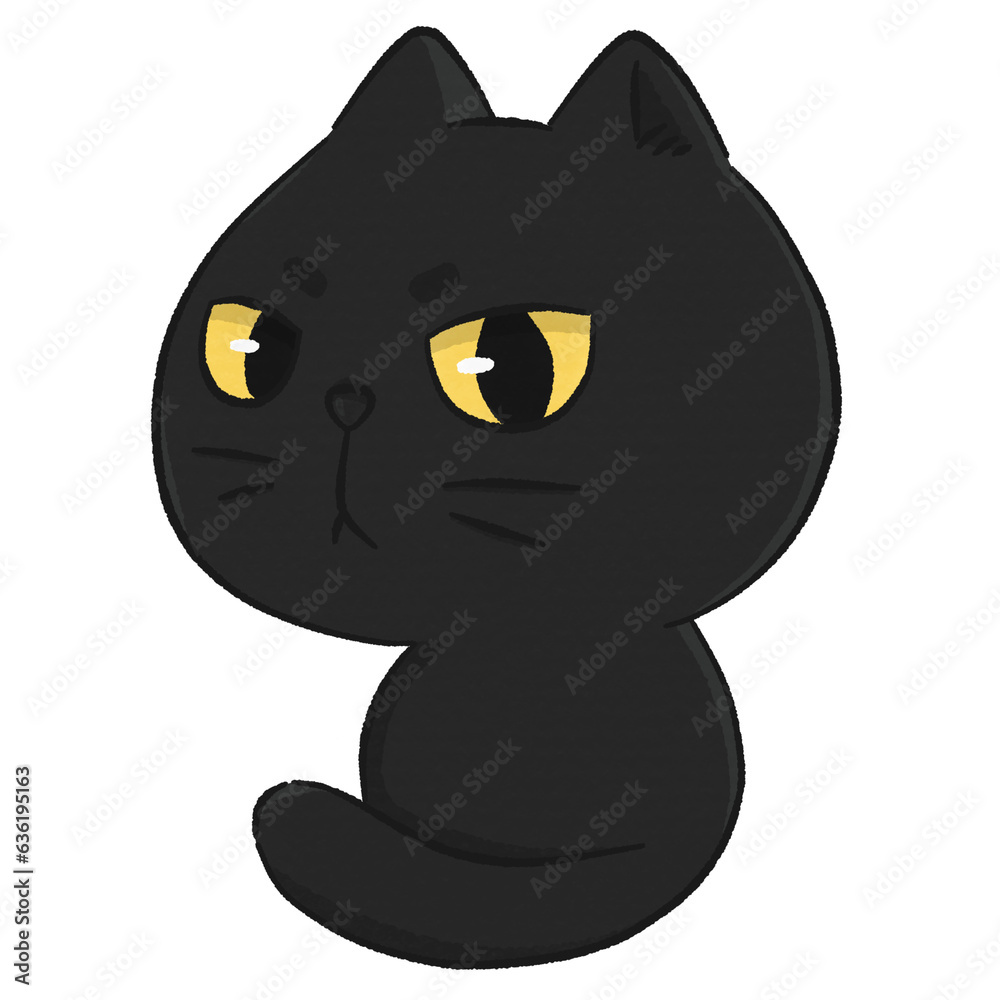 Obraz premium black cat