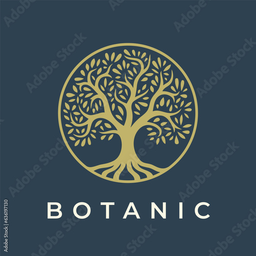 Photography Botanical tree logo mark design