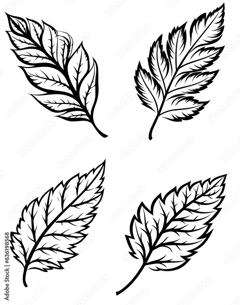 Obraz premium Outlined autumn leaves collection high resolution vector set
