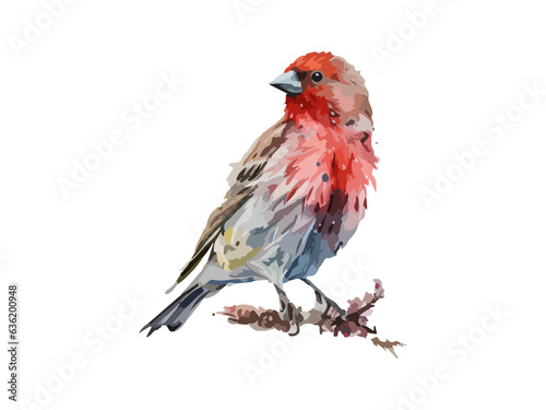 Watercolor bird and sparrow vector illustration Realistic hand drawn Painting, On branches decorated by leaves and flowers, White isolated background.  © Khawla