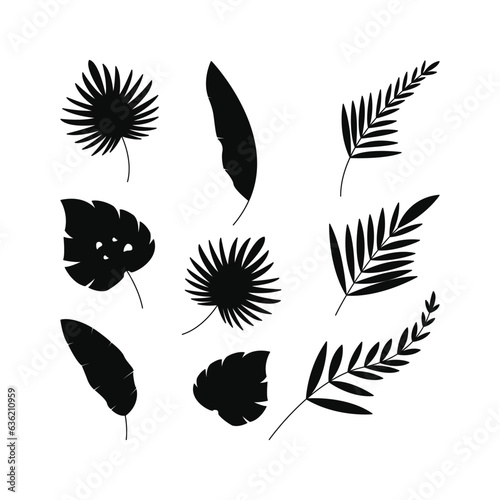 collection set of palm leaves silhouette isolated on white background