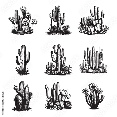 Cactus hand drawn vector set